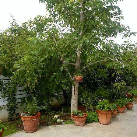 Отель Sunny Garden Studio Никосия Экстерьер фото