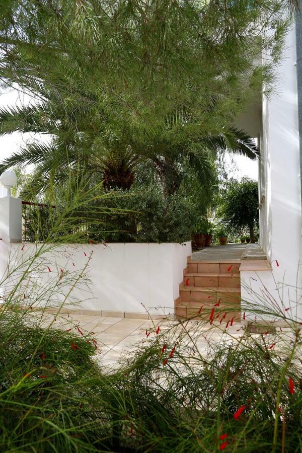 Отель Sunny Garden Studio Никосия Экстерьер фото